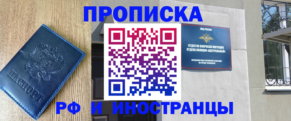 прописка 2025 в Шадринске
